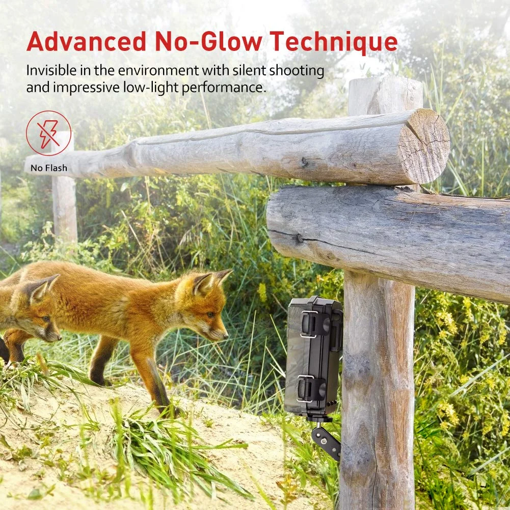 discount deals with free shipping Wildlife Trap Camera