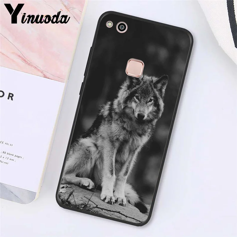 angry Animal wolf Face