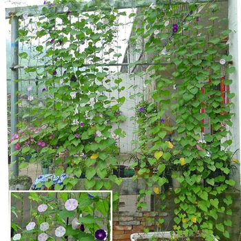 

3pcs Network Gardening Fruit Vines Flower Petunia Climbing Net Cucumber Bush Gourd Vines Net (Green 0.9x1.8m)