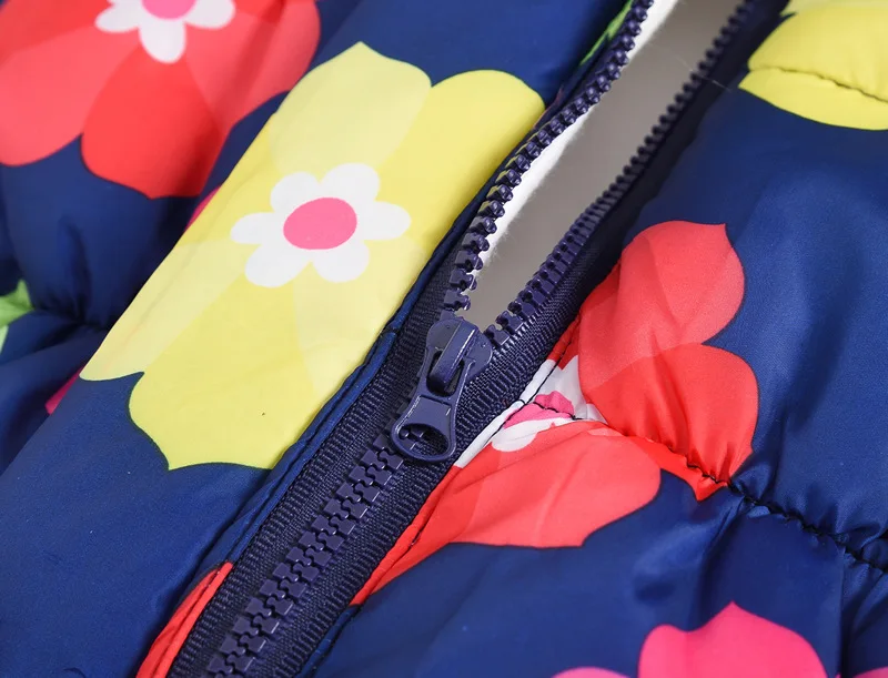 11536221800_1046179288