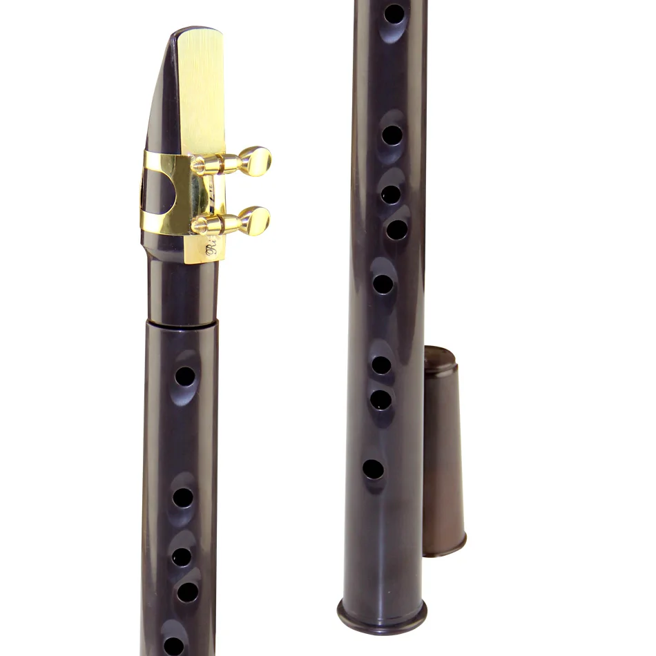 Acheter Saxophone de poche noir Mini Saxophone Portable clé C petit  Saxophone avec sac de transport bois