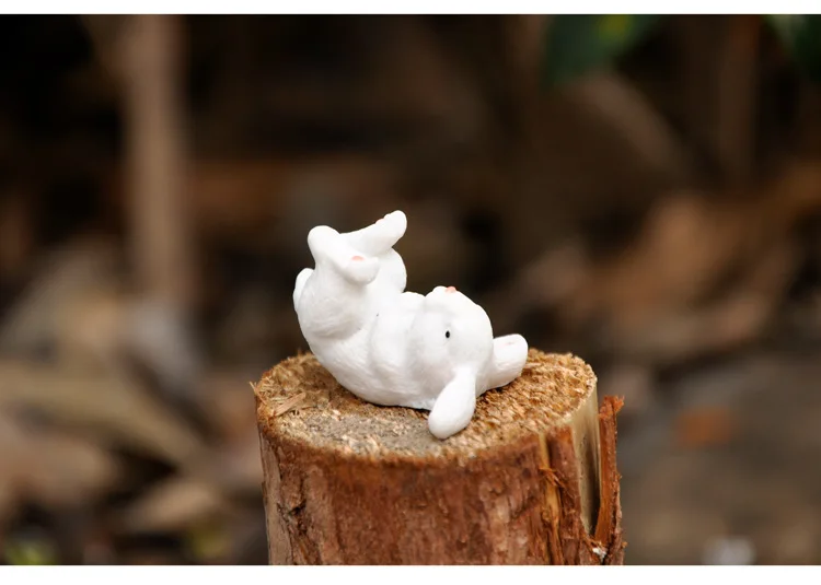 10768673282_360938011