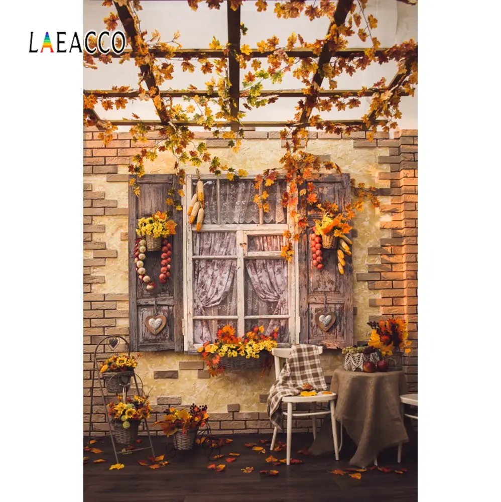 

Laeacco Yard Window Chair Autumn Fruit Photography Backgrounds Customized Photographic Backdrops For Photo Stadio