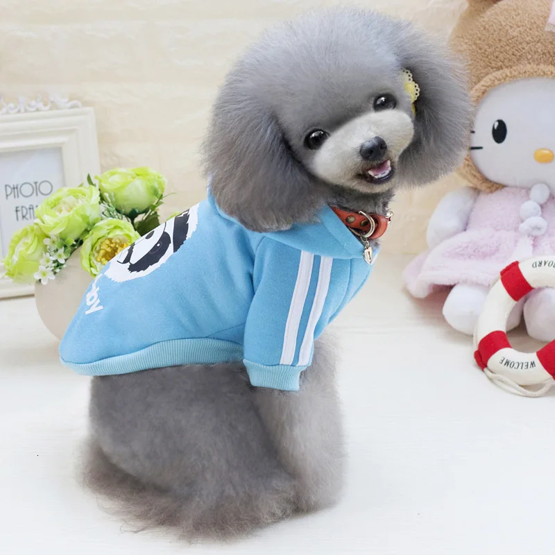 3884141835_277183843