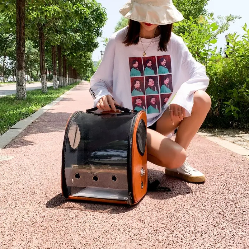 Дорожная сумка переноска для попугаев и птиц прозрачный рюкзак с космическими