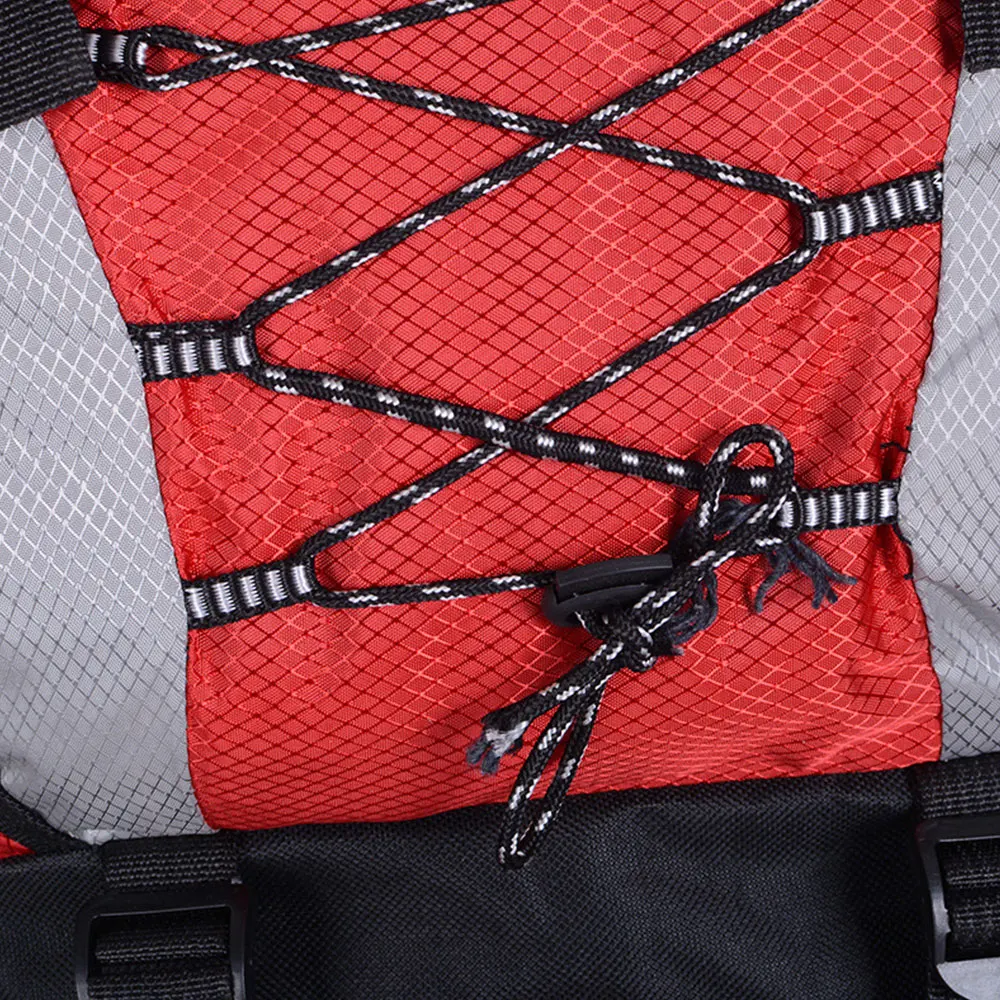 464692_e080140995864be0a123d3e755488613