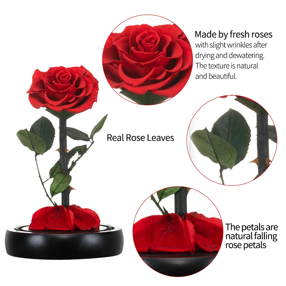 Rose éternelle artificielle la belle et la bête, sous dôme de verre,  fausses fleurs, pour un cadeau de mariage, pour une fête des mères