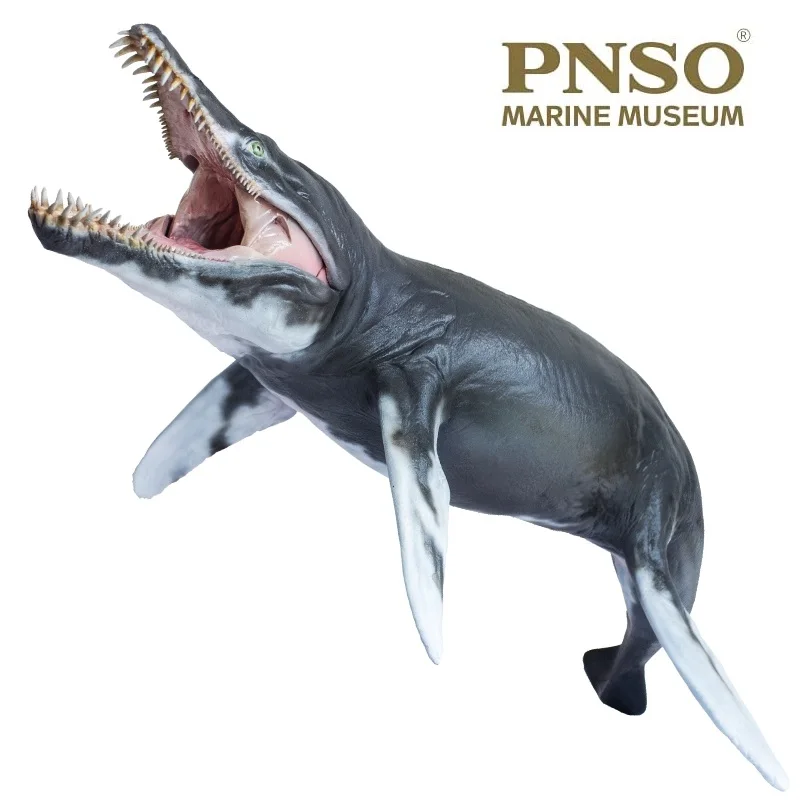 PNSO Rare Ouranosaurus Kinder Dinosaur Figures Kids Education Museum Model Toys 