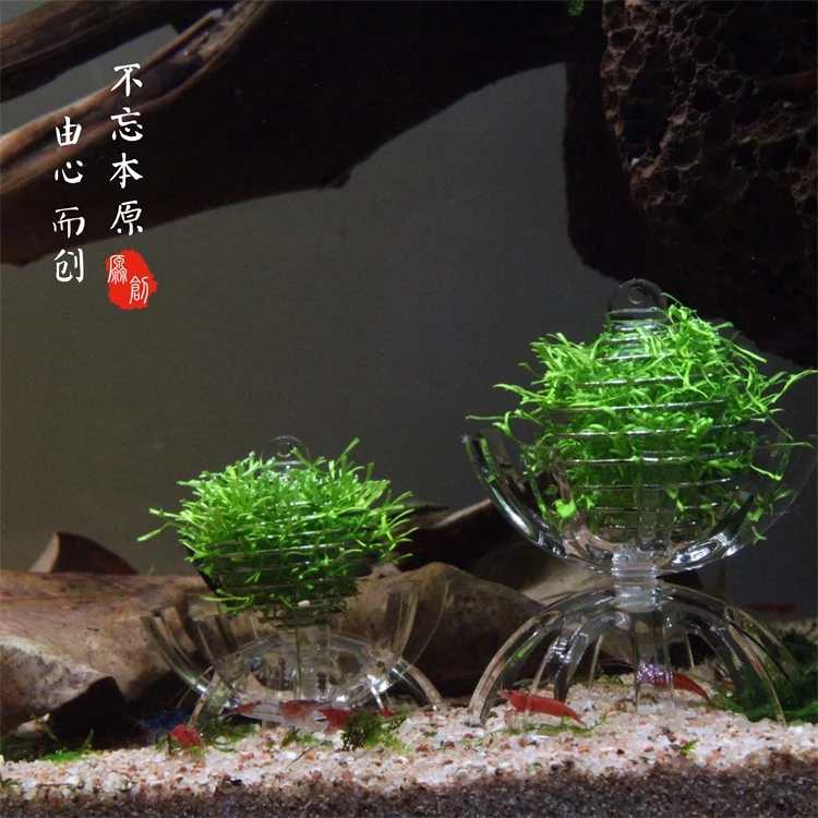 O1CN011VbolKmtf9FibEb_!!756162672