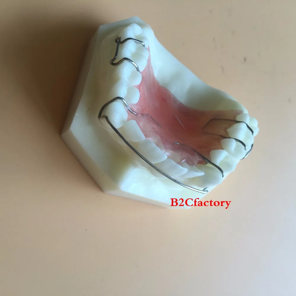 Стоматологическая модель фиксатора Hawley для обучения зубов Модель 3007 01|teeth model|dental