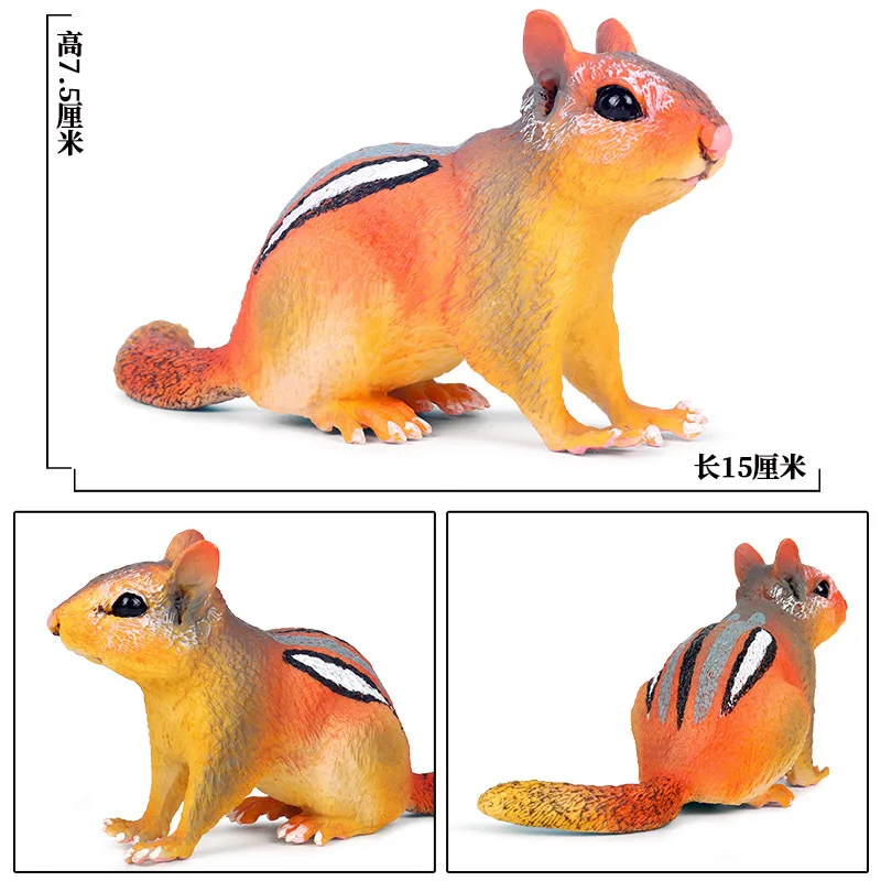 Детская сплошная модель диких животных грызунов модель Marmot mouse Chipmunks игрушка украшение гаражный комплект