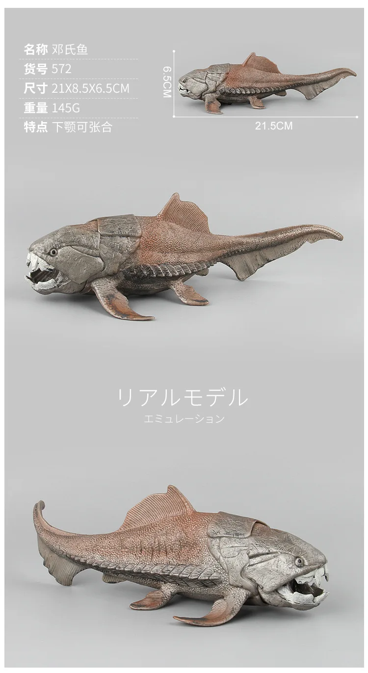 9159671769_920392923