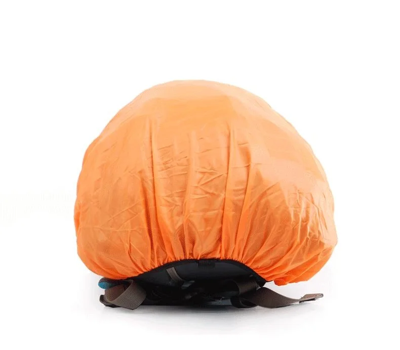 10398131702_759767199_4_看图王