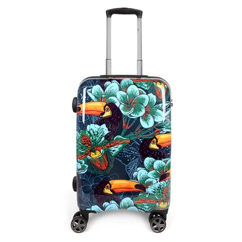 

NEWCOM Printing Luggage 24 Inch Teens Spinner Wheels Hardside Cartoon Printed Toucan Colorful Upright Suitcase ABS+PC Built-In T