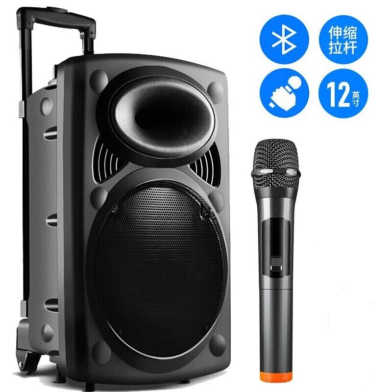 wit merknaam aankomst 15 Inch Subwoofer Karaoke Speaker 150W Bluetooth Speaker Column Outdoor  Square Dance Luidspreker Draadloze Microfoon Tf Aux U Disk|Buitenspeakers|  - AliExpress