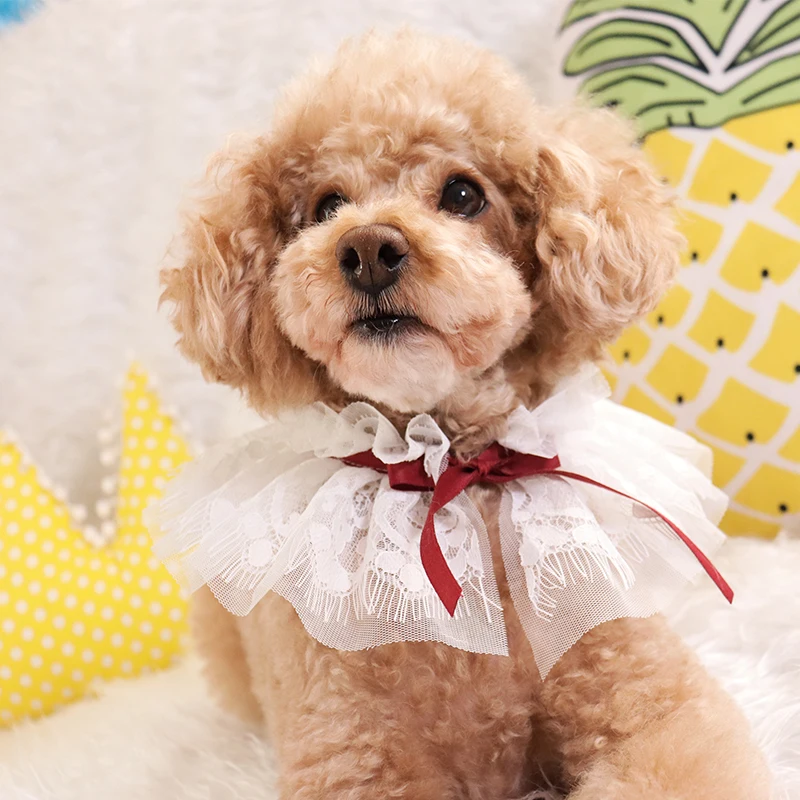 O1CN01q6sOQo1mNTwNKa7dd_!!2698944942