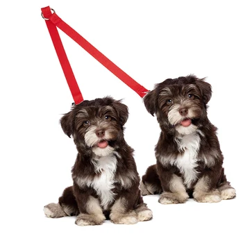 

2 In 1 Polyester Dog Leash Double Walking Dog Leashes Couple 2 Way V Shape Collar Lead Leashes For 2 Dogs Puppy Pet Accessories