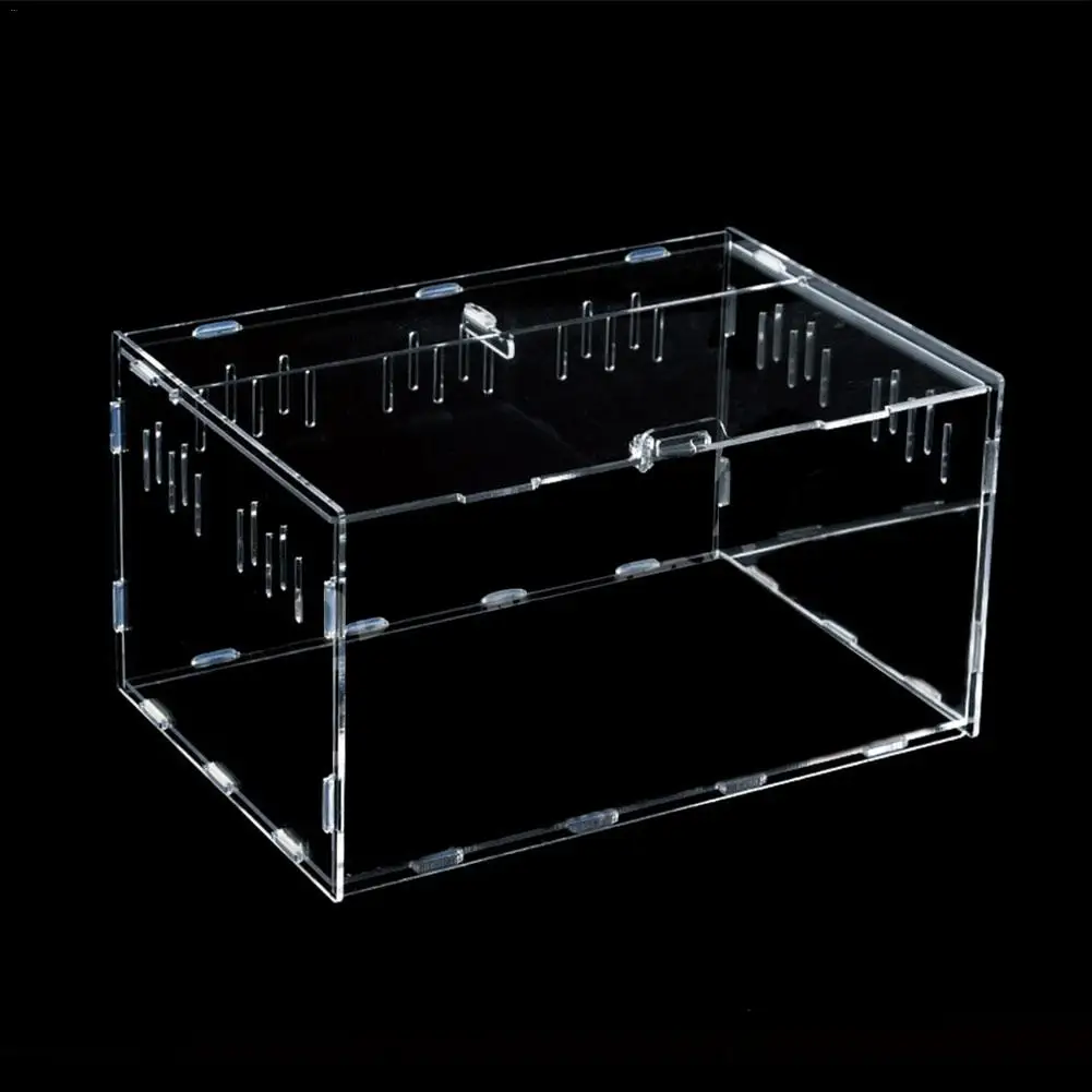 transparent