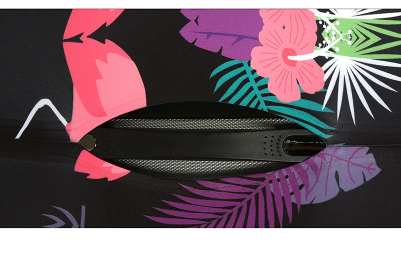 5323341191_322839970