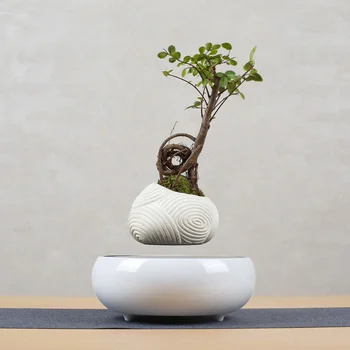 

1pcs Magnetic Levitation Air Bonsai Decor Art Potted Sky Succulent Plantpot Geomancy Ornaments With US/EU Plug Creative Gift New