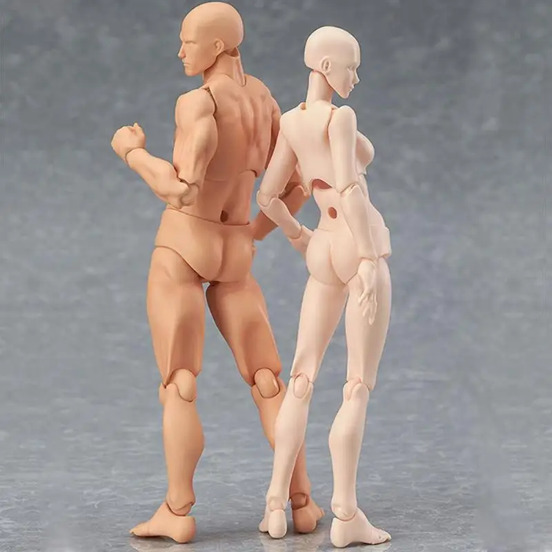 

PVC Action Figure Human Movable Body Joints Doll Male Female Nude Archetype PVC Models Collections Delicate Ornament