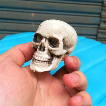 

Halloween Skeletons Plastic Realistic Fake Simulation Human Skull Head Scary Skull Props Mini Skull Head Haunted Decoration