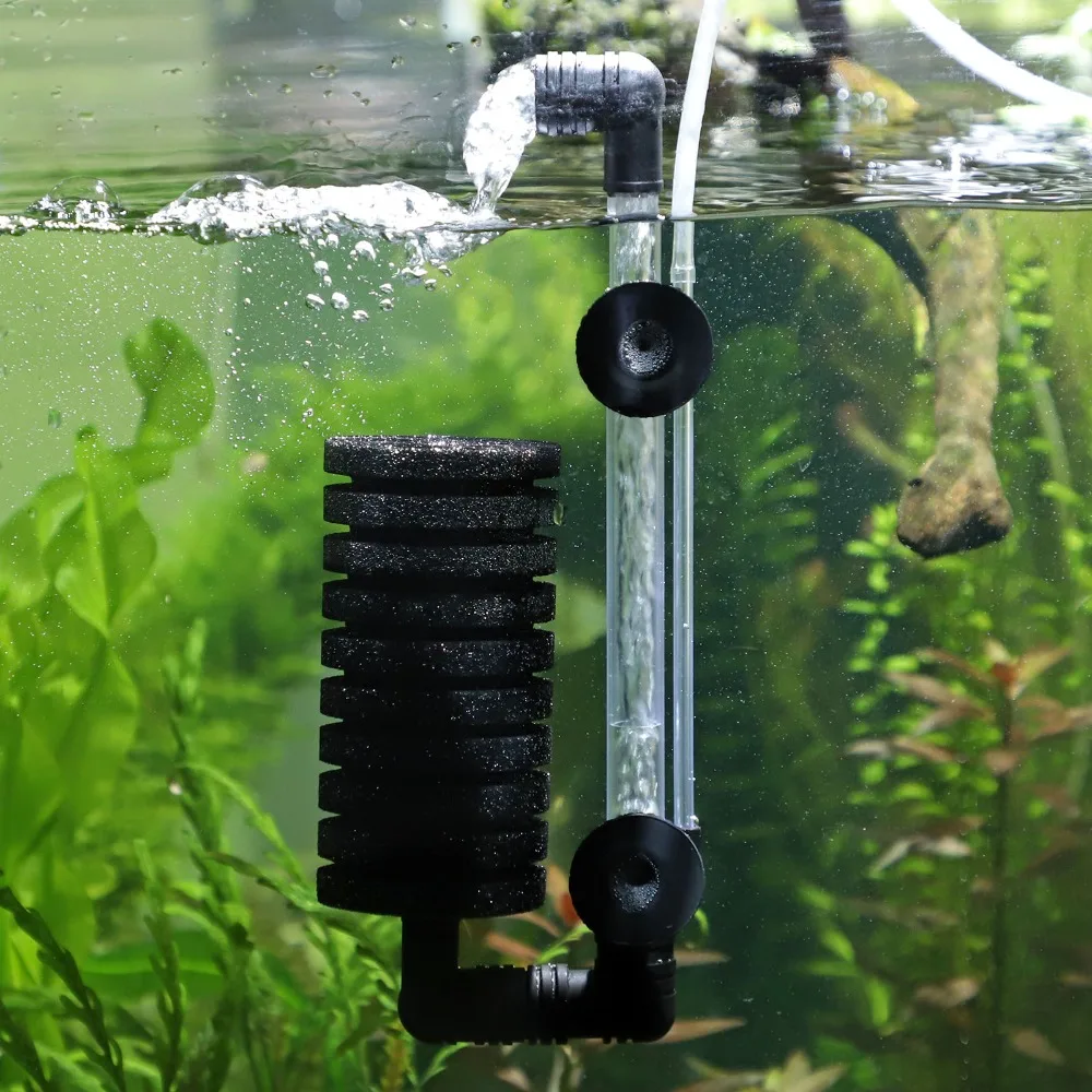 HTB1JiKjHkOWBuNjSsppq6xPgpXaW