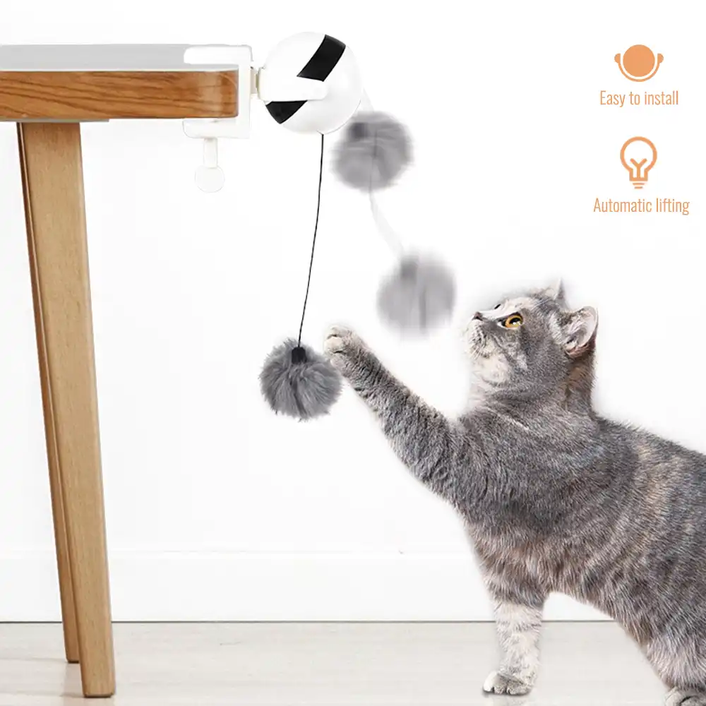 motion ball cat toy