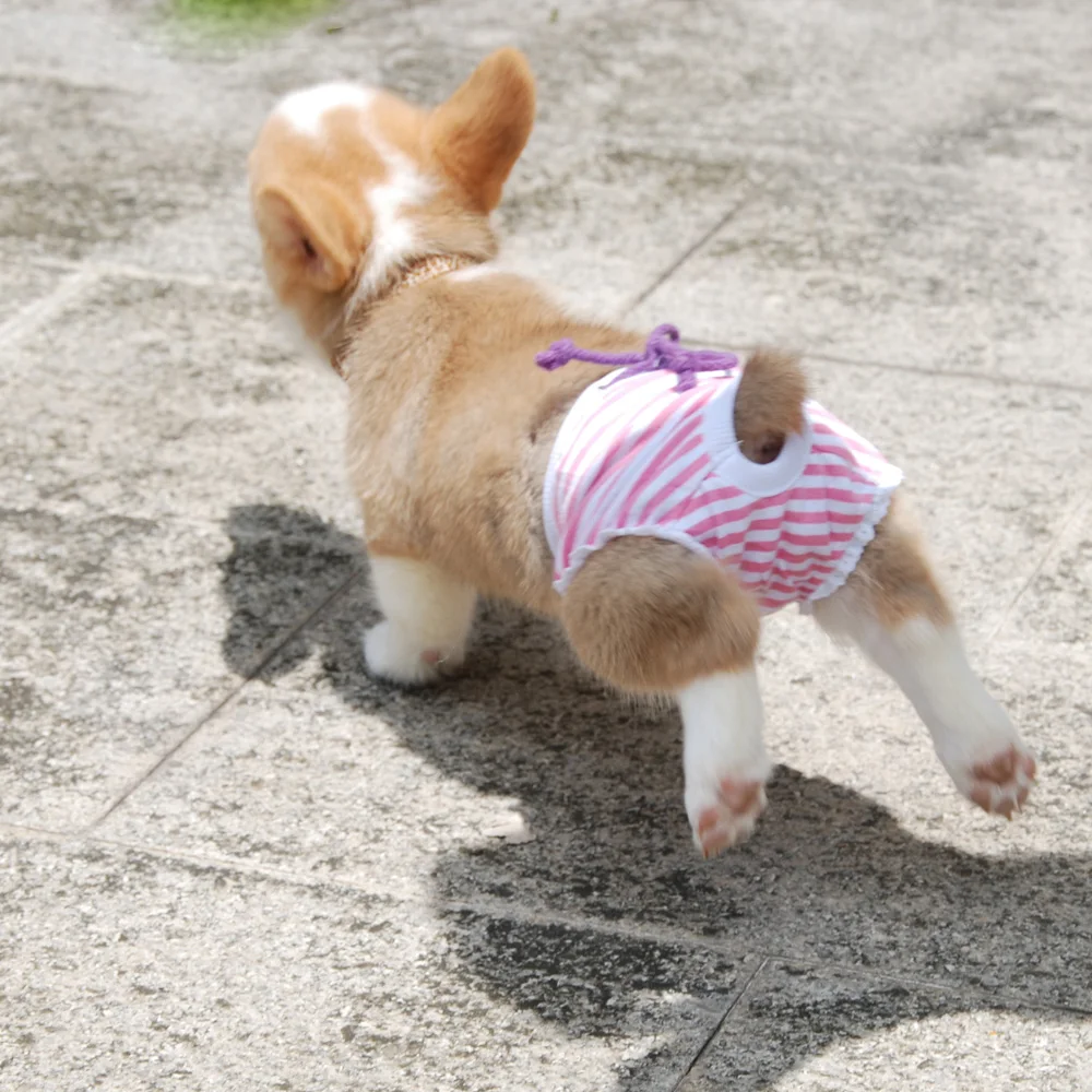 Pet Physiological Pant Diaper Sanitary Washable Female Dog Shorts Panties Menstruation Underwear Briefs dog diapers,pet diapers,dog nappies,dog shorts