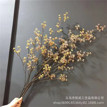 

Wild Fruit Branch Simulation Branch Aglaia Fruit Branch Indoor Living Room Porch Flower Arrangement Green Vegetation