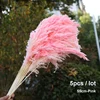 5pcs ypink - 55cm