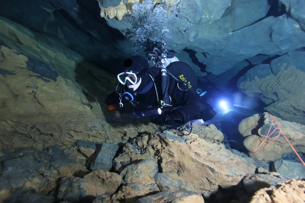 4181439035_1838403043