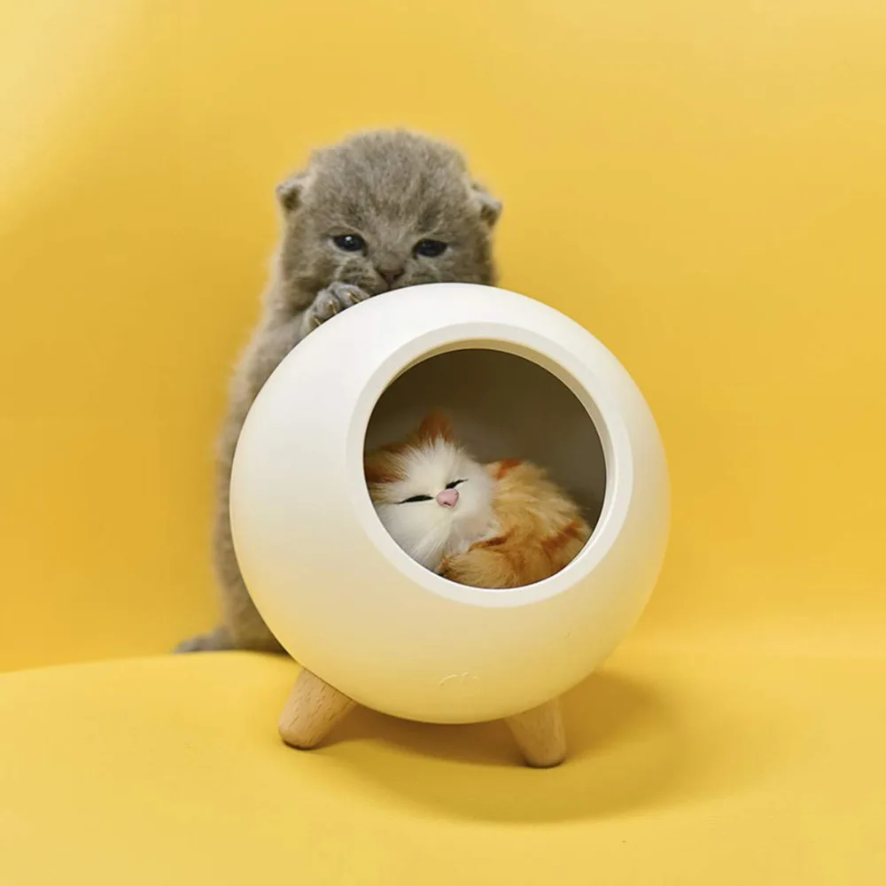 ed12a3ae0aaf8fd9377045c2ada2dbf7