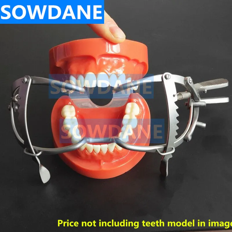 Зубной имплантат Регулируемый рот открывалка кляп Whitehead 13 см Длина Нержавеющая сталь пескоструйная обработка зубов Отбеливание втягивающее устройство