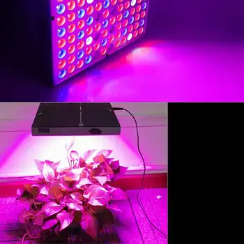 

Growing Lamps LED Grow Light 25W 45W AC85-265V Full Spectrum Plant Lighting Fitolampy for Plants Flowers Seedling Cultivation