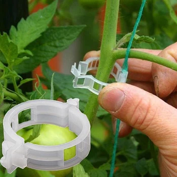 

100pcs Reusable Plastic Plant Support Clips Clamps For Plants Hanging Vine Garden Greenhouse Vegetables Tomatoes Clips