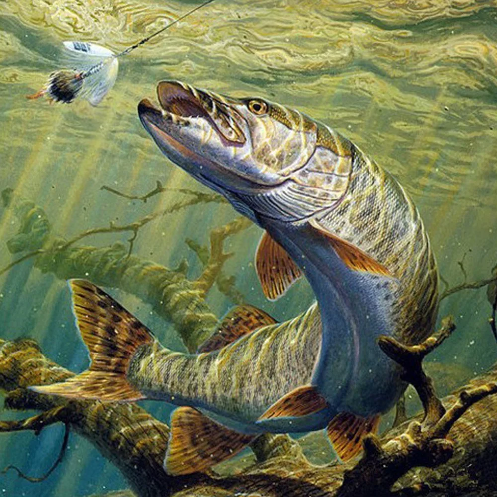 HTB14OTCSFXXXXccaXXXq6xXFXXX9