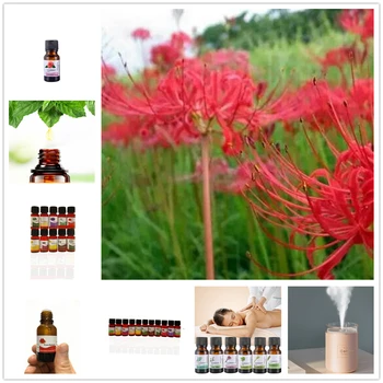 

10ml winter jasmine Water-soluble Essential Oil for Fragrance Aromatherapy Diffusers Rosemary Essential Oil Improve Sleep