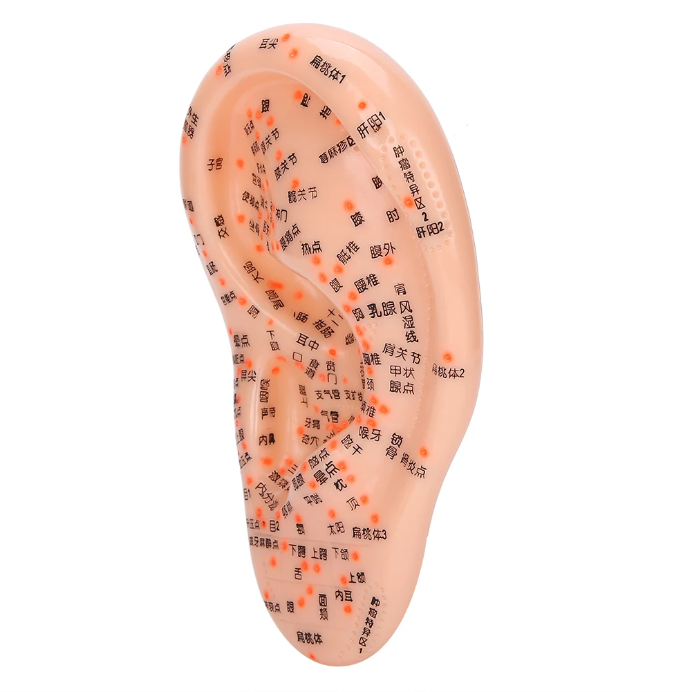 pontos da acupuntura da orelha com acupuntura
