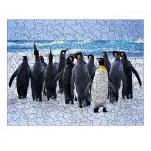 

Alien Animal Shaped Jigsaw Sea Beach Penguin Wooden Puzzle 3D 100 200 300 Pieces Diy Game Wood Toys for Teen Kids Party Gift