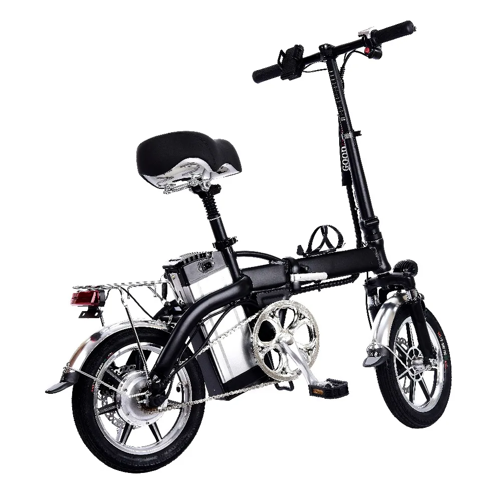 Electric Scooter  (5)