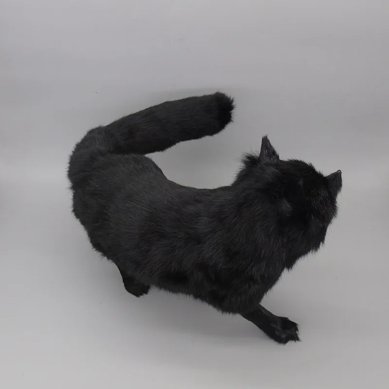 3621304212_167231638