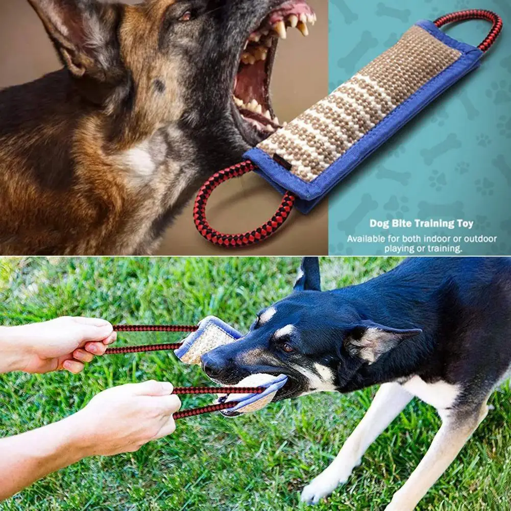 Dog Pull Ring Bite Resistant Pet Toy for Dogs Training Elastic Puppy Interaction  Toys for Small Medium Large Dogs Tug of War Psy - AliExpress
