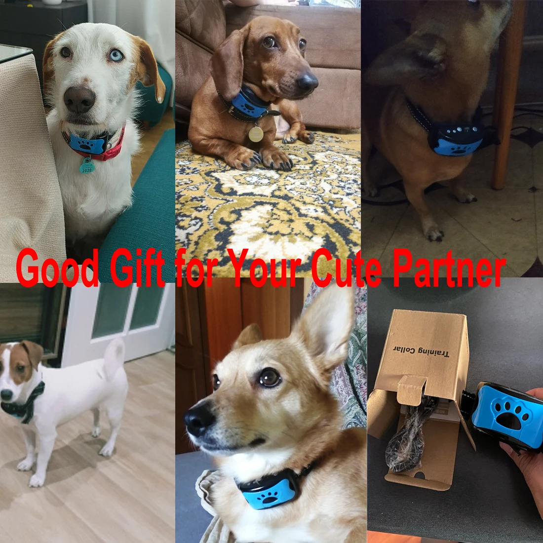 Pet Dog Anti Barking Device USB Electric Ultrasonic Dogs Training Collar Dog Stop Barking Vibration Anti Bark Collar 2