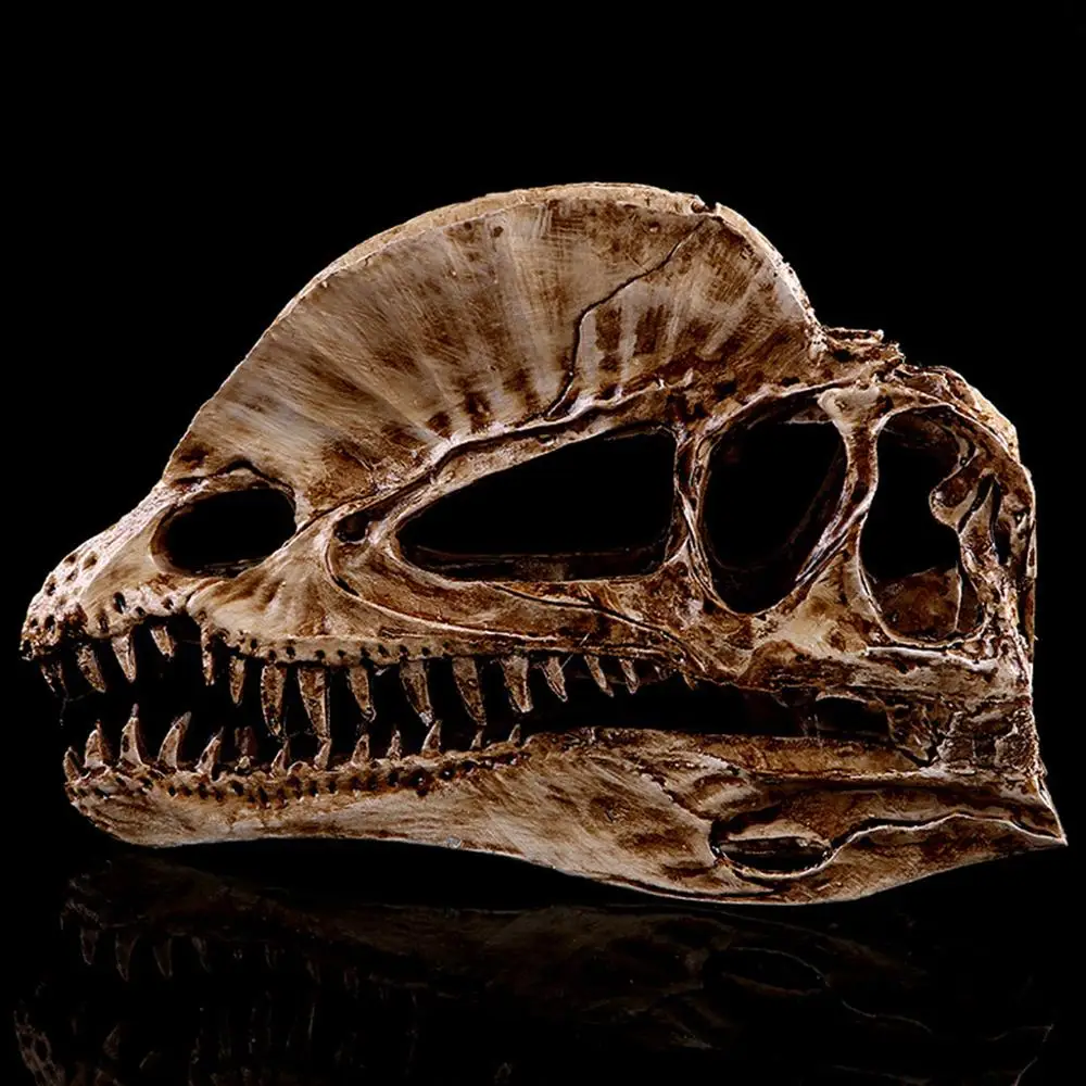 Dilophosaurus череп динозавра смолы ремесла Fossil обучение скелету модель Хэллоуин украшения дома офиса