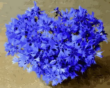 

Frameless picture oil paintings by numbers flowers wall decor diy painting on canvas for home decor 4050cm blue