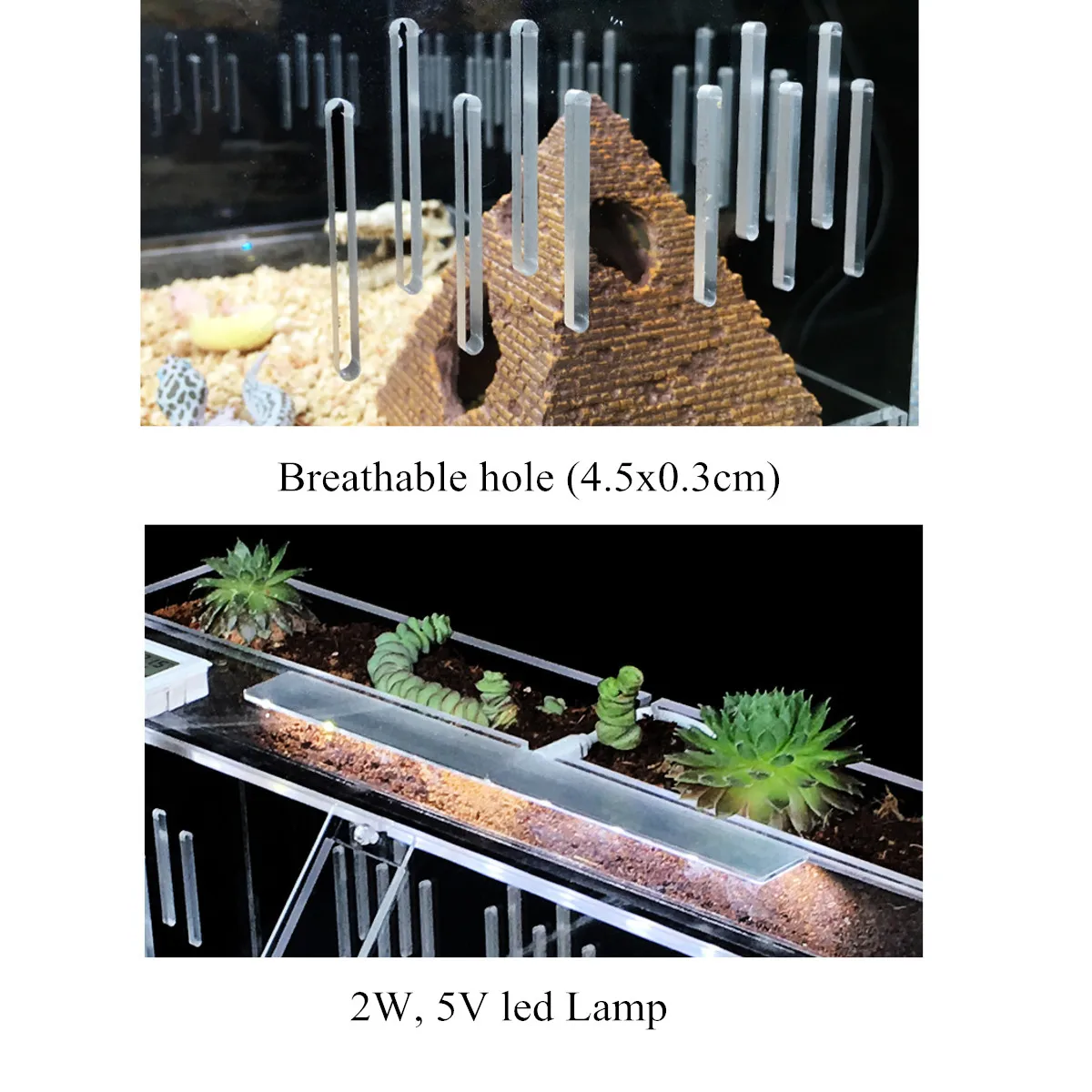 Насекомое коробка для разведения клетка дом рептилий аксессуары прозрачный акриловый рептилий террариум растительный кормушка ящерица