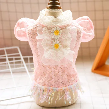 

Pet Teddy Schnauzer Dog Small Dog Princess Lace Dress Pomeranian Chihuahua Bichon Puppy Clothes