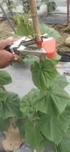 Herramientas de jardín, atado de plantas, tapenador de hierba vegetal, herramientas de atado manual, máquina de encuadernación, tapenador