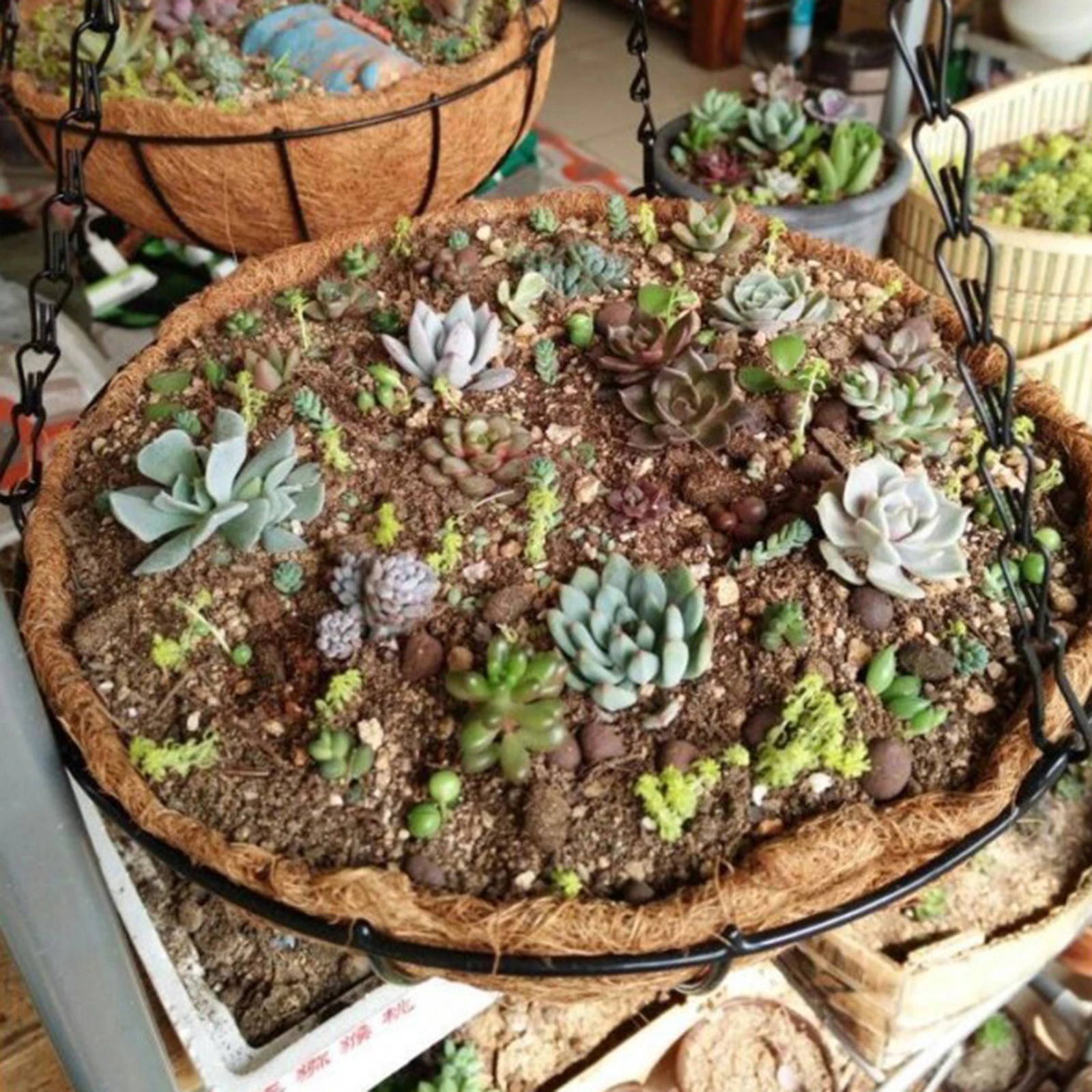 Round Coconut Husk Hanging Basket Planter Outdoor Plant Flower Pot Vase for Porch Balcony Decoration